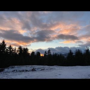 Meet your Posher, Chase